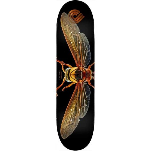  Powell-Peralta Skateboard Deck Biss Potter Wasp 8.0 x 31.95