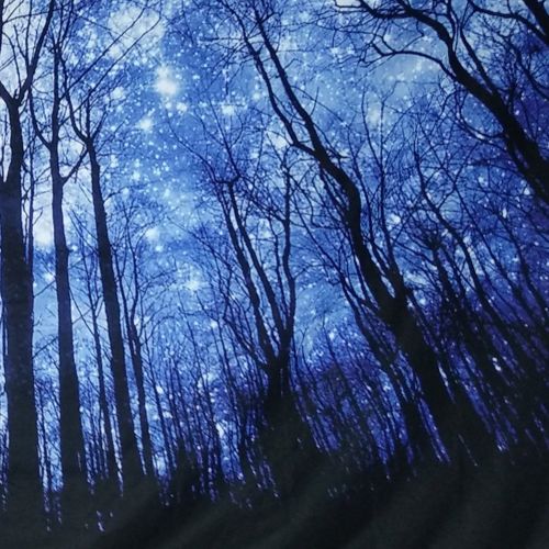  Prabahdak Dupetoner Trees Tapestry Wall Hanging Psychedelic Starry Night Forest Tapestry Fantastic Galaxy Landscape Tapestry Hippie Bohemian Wall Tapestry for Dorm Living Room Bedroom