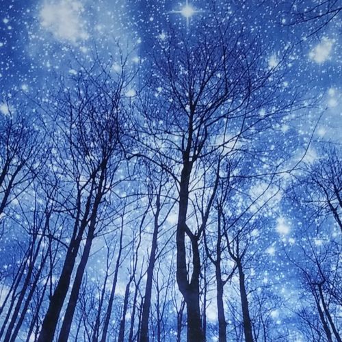  Prabahdak Dupetoner Trees Tapestry Wall Hanging Psychedelic Starry Night Forest Tapestry Fantastic Galaxy Landscape Tapestry Hippie Bohemian Wall Tapestry for Dorm Living Room Bedroom