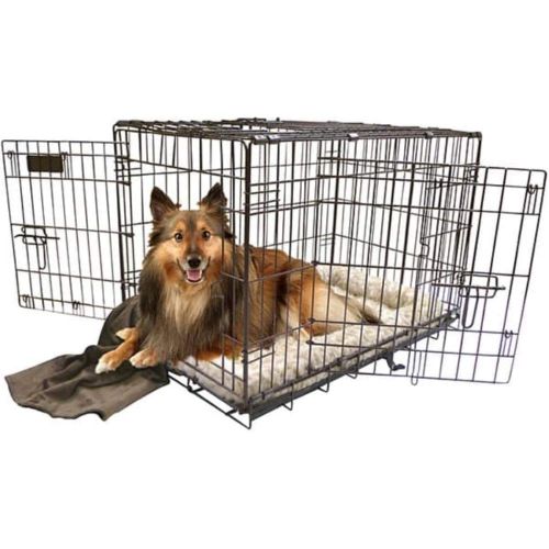  Precision Pet by Petmate 2 Door Great Crate with Precision Lock System Wire Dog Crate, 6 Sizes