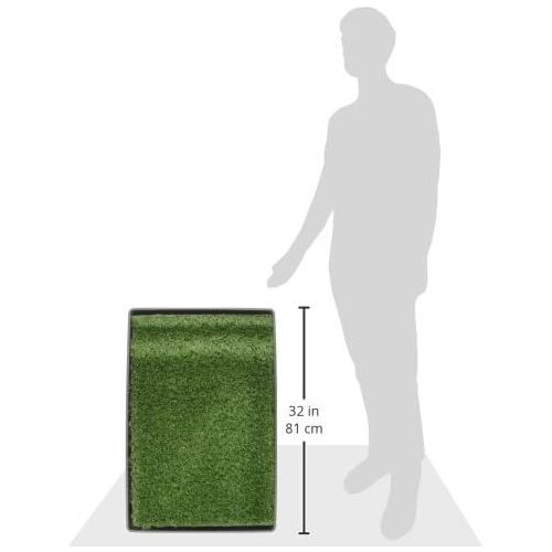  Prevue Hendryx Prevue Pet Products Tinkle Turf