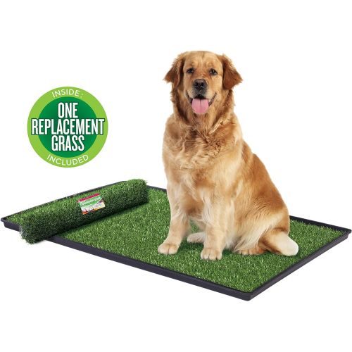  Prevue Hendryx Prevue Pet Products Tinkle Turf