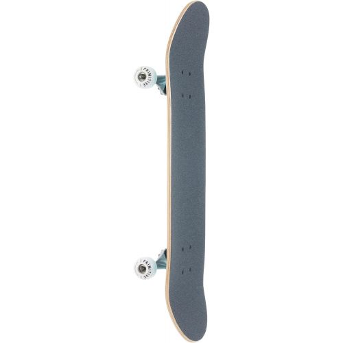  Primitive Skateboard Complete Codes Teal 7.75 Assembled