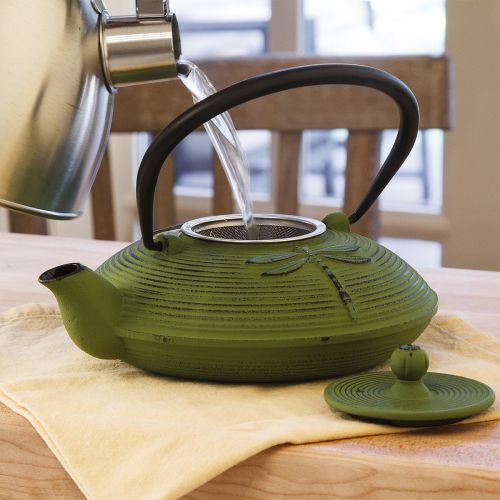  Primula Cast Iron Teapot | Green Dragonfly Design w/Stainless Steel Infuser, 26 oz