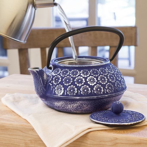  Primula Cast Iron Teapot | Blue Floral Design w/Stainless Steel Infuser,34 oz