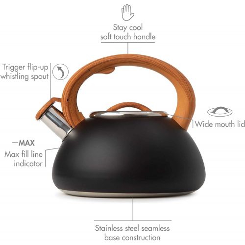  [아마존베스트]Primula Avalon Whistling Stovetop Tea Kettle Food Grade Stainless Steel Hot Water, Fast to Boil, Cool Touch Handle, 2.5 Quart, Black