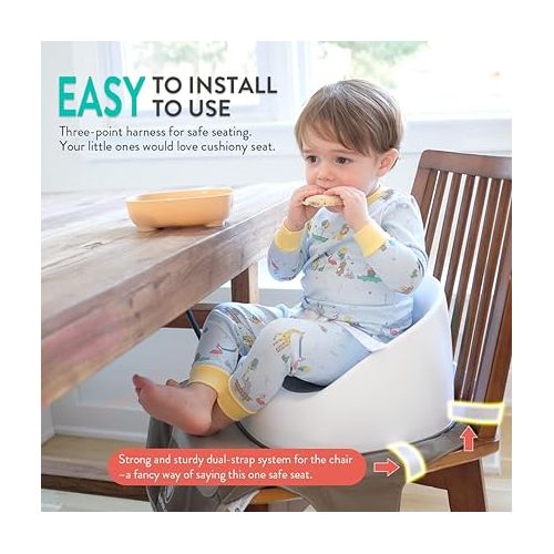 Prince Lionheart Squish Booster Seat, Gumball Green, 3-Point Harness and Dual-Strap System, Easy to Wipe Clean, and Lightweight Green