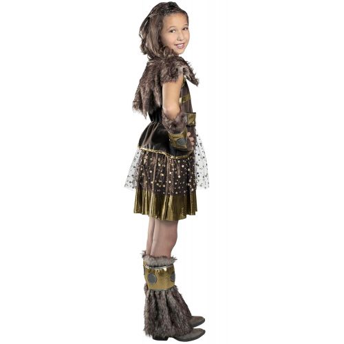  Princess Paradise Hildagaard Warrior Costume, Tween Small