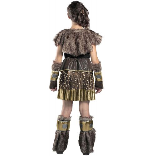  Princess Paradise Hildagaard Warrior Costume, Tween Small