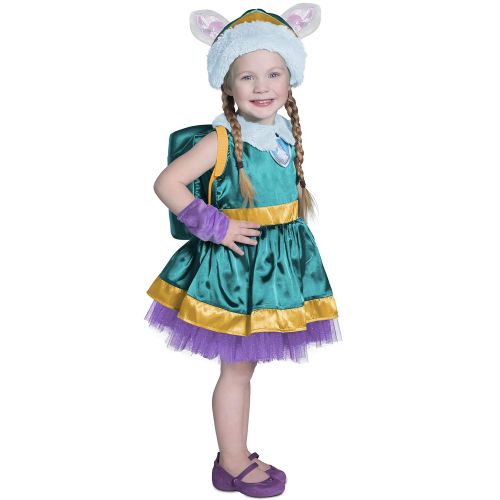  Princess Paradise Childs Paw Patrol Costume,Everest,Small