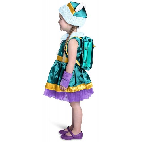  Princess Paradise Childs Paw Patrol Costume,Everest,Small