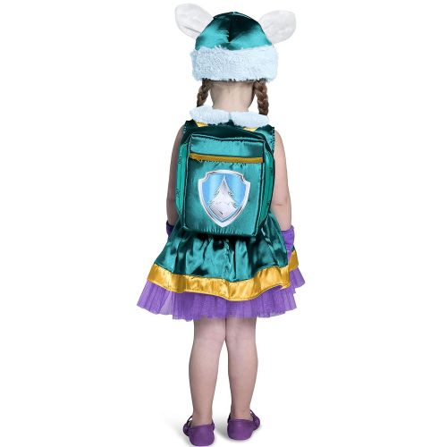  Princess Paradise Childs Paw Patrol Costume,Everest,Small