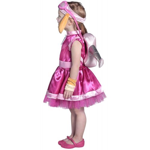  Princess Paradise Paw Patrol Skye Costume, Pink, 12/18m