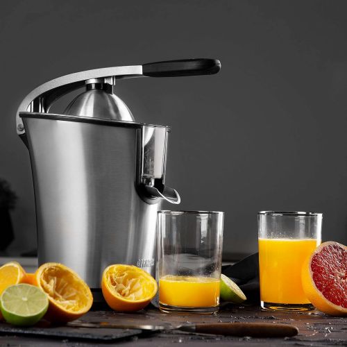  Princess Edelstahl Zitruspresse Master Juicer - professioneller Hebelarm, 160 Watt Motor, Universalaufsatz fuer Zitrusfruechte, Fliessstopfunktion, 201851