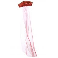 Princess Paradise - Girls Princess Anne Headband With Veil