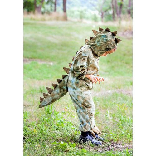  Princess Paradise Big Boys Dinosaur Costume, Green, 18m - 2T