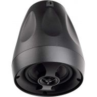 Pro Acoustics Pure Resonance Audio PD4 4 2-Way Open-Ceiling Pendant Mount Loudspeaker