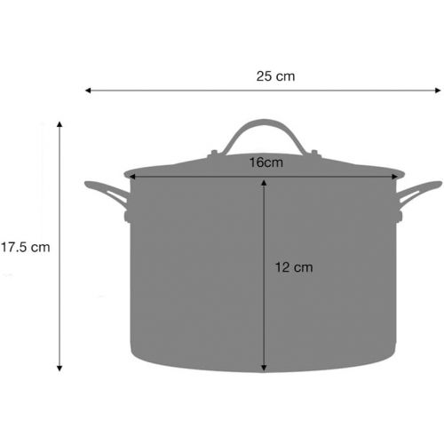  ProCook Professional Stainless Steel - Fleischtopf mit Deckel - Kochtopf - Induktion - 16 cm - Edelstahl Topf - CoolTouch Griffe - induktionsgeeignet -