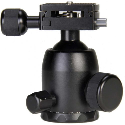  ProMaster Professional Ball Head - BS-18