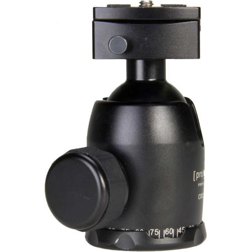  ProMaster Professional Ball Head - BS-18
