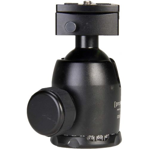  ProMaster Professional Ball Head - BS-18