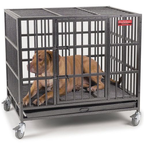  Guardian Gear ProSelect Empire Dog Cage