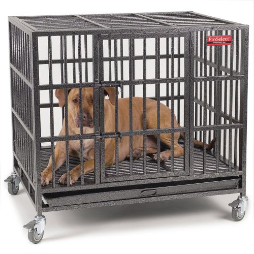  Guardian Gear ProSelect Empire Dog Cage