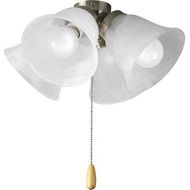 [아마존베스트]Progress Lighting P2643-09WB AirPro Ceiling Fans, Brushed Nickel