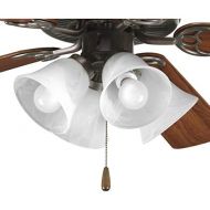 Progress Lighting P2610-20WB AirPro Ceiling Fans, Antique Bronze