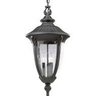 Progress Lighting P5520-31 Meridian Cast Aluminum Chain-Hung Lantern, Textured Black