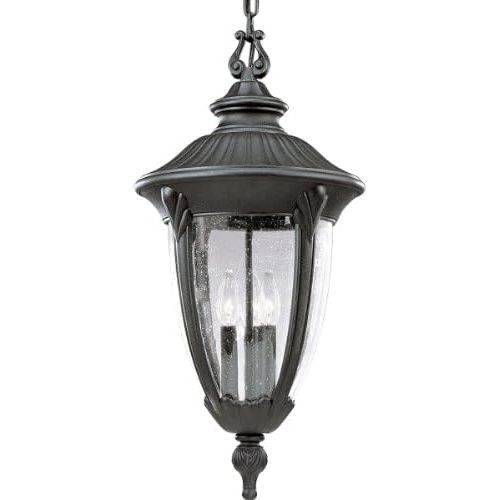  Progress Lighting P5520-31 Meridian Cast Aluminum Chain-Hung Lantern, Textured Black