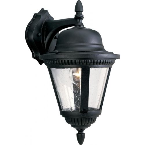  Progress Lighting P5863-31 1-Light Cast Wall Lantern with Clear Seeded Glass, Textured Black