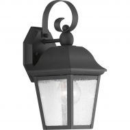 Progress Lighting P560010-031 Kiawah One-Light Small Wall Lantern, Black