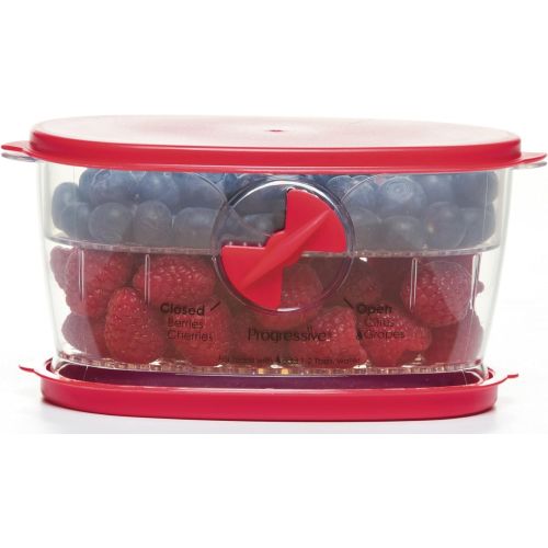  Progressive International Prepworks by Progressive Berry Keeper: Food Savers: Kitchen & Dining