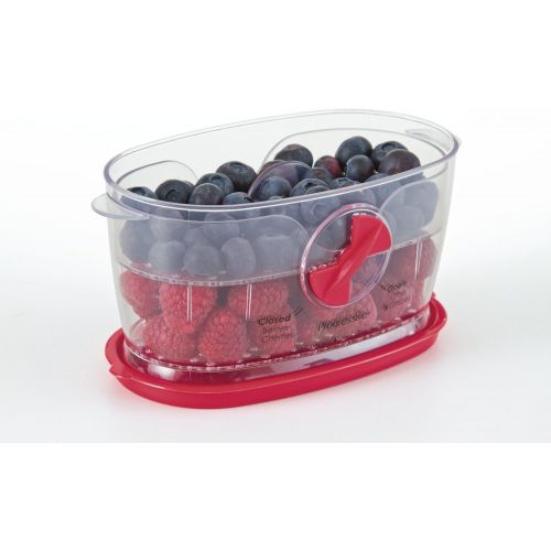  Progressive International Prepworks by Progressive Berry Keeper: Food Savers: Kitchen & Dining