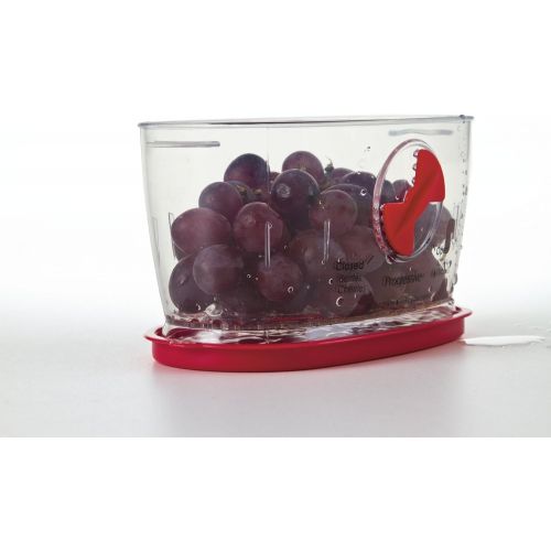  Progressive International Prepworks by Progressive Berry Keeper: Food Savers: Kitchen & Dining