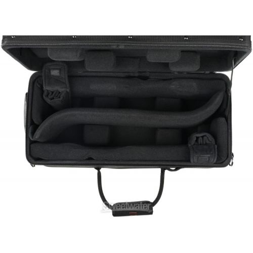  Protec IPAC Series Double Trumpet Case