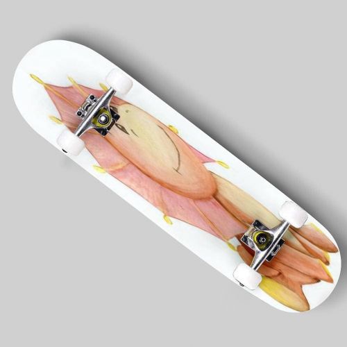  Puiuoo Prehistoric Watercolor Collection of Dinosaur Body Parts Fossils and Skateboard for Beginners Standard Skateboard for Adults Youth Kids Maple Double Kick Concave Boards Complete Sk