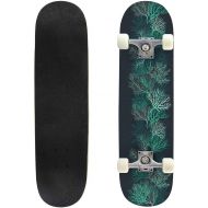 Puiuoo Tropical Frame with Flowers and Palm Leaves Stock Illustration Skateboard for Beginners Standard Skateboard for Adults Youth Kids Maple Double Kick Concave Boards Complete Skateboa