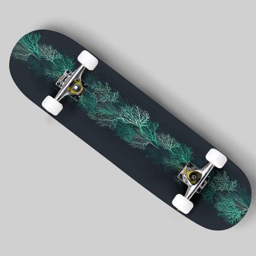  Puiuoo Tropical Frame with Flowers and Palm Leaves Stock Illustration Skateboard for Beginners Standard Skateboard for Adults Youth Kids Maple Double Kick Concave Boards Complete Skateboa