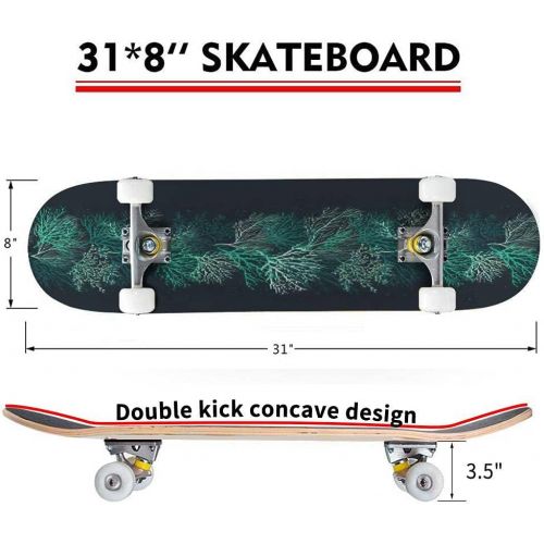  Puiuoo Tropical Frame with Flowers and Palm Leaves Stock Illustration Skateboard for Beginners Standard Skateboard for Adults Youth Kids Maple Double Kick Concave Boards Complete Skateboa