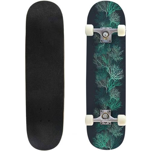  Puiuoo Tropical Frame with Flowers and Palm Leaves Stock Illustration Skateboard for Beginners Standard Skateboard for Adults Youth Kids Maple Double Kick Concave Boards Complete Skateboa