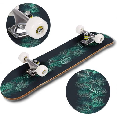  Puiuoo Tropical Frame with Flowers and Palm Leaves Stock Illustration Skateboard for Beginners Standard Skateboard for Adults Youth Kids Maple Double Kick Concave Boards Complete Skateboa