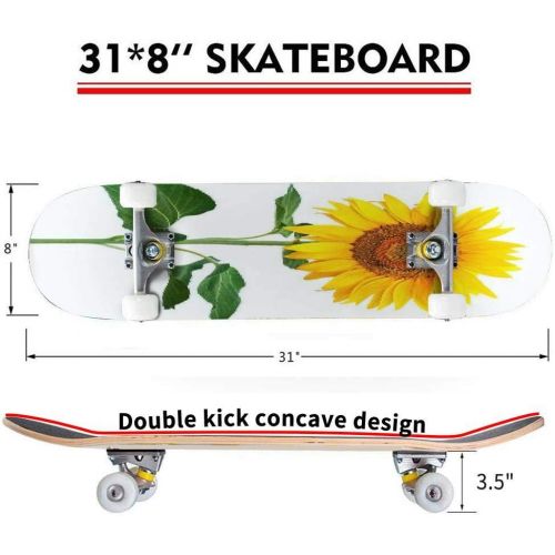  puiuoo Healthy Tea Bucket with Coltsfoot Flowers and Mortar on Table Skateboard for Beginners Standard Skateboard for Adults Youth Kids Maple Double Kick Concave Boards Complete Sk