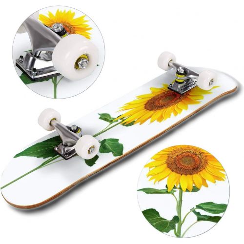  puiuoo Healthy Tea Bucket with Coltsfoot Flowers and Mortar on Table Skateboard for Beginners Standard Skateboard for Adults Youth Kids Maple Double Kick Concave Boards Complete Sk
