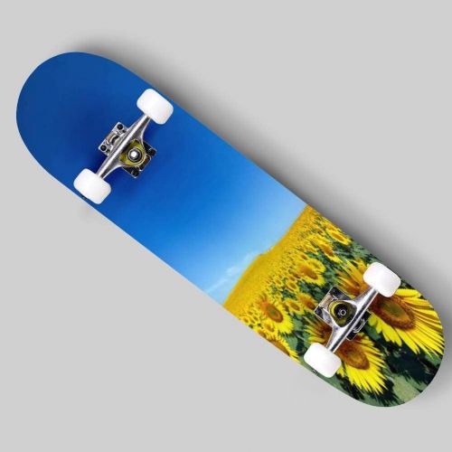  puiuoo Pink Peony Isolated on White Background Skateboard for Beginners Standard Skateboard for Adults Youth Kids Maple Double Kick Concave Boards Complete Skateboard 31x8
