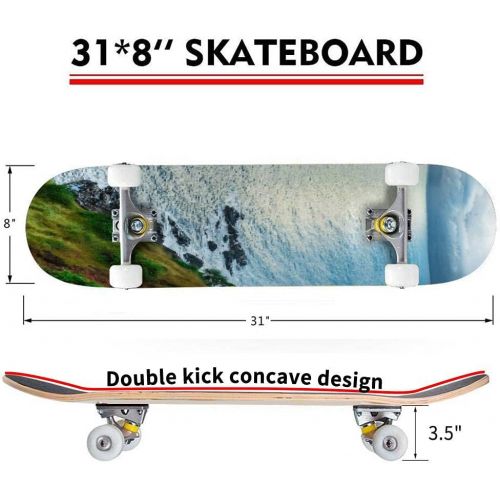  Puiuoo Sun Rays and Clouds Skateboard for Beginners Standard Skateboard for Adults Youth Kids Maple Double Kick Concave Boards Complete Skateboard 31x8