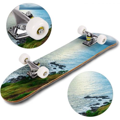  Puiuoo Sun Rays and Clouds Skateboard for Beginners Standard Skateboard for Adults Youth Kids Maple Double Kick Concave Boards Complete Skateboard 31x8