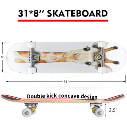  puiuoo Kitten Stock Illustration Skateboard for Beginners Standard Skateboard for Adults Youth Kids Maple Double Kick Concave Boards Complete Skateboard 31x8