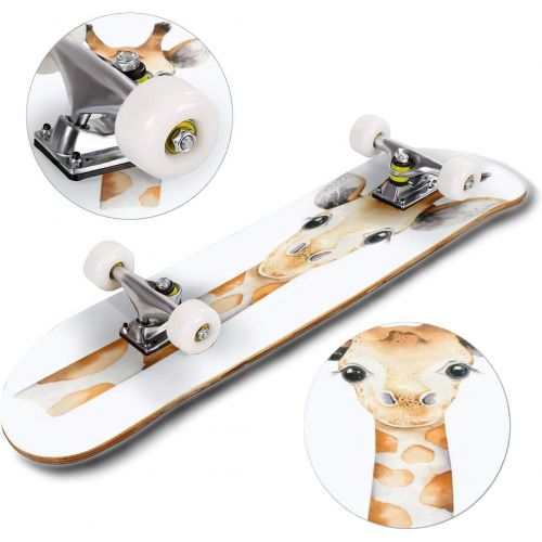  puiuoo Kitten Stock Illustration Skateboard for Beginners Standard Skateboard for Adults Youth Kids Maple Double Kick Concave Boards Complete Skateboard 31x8